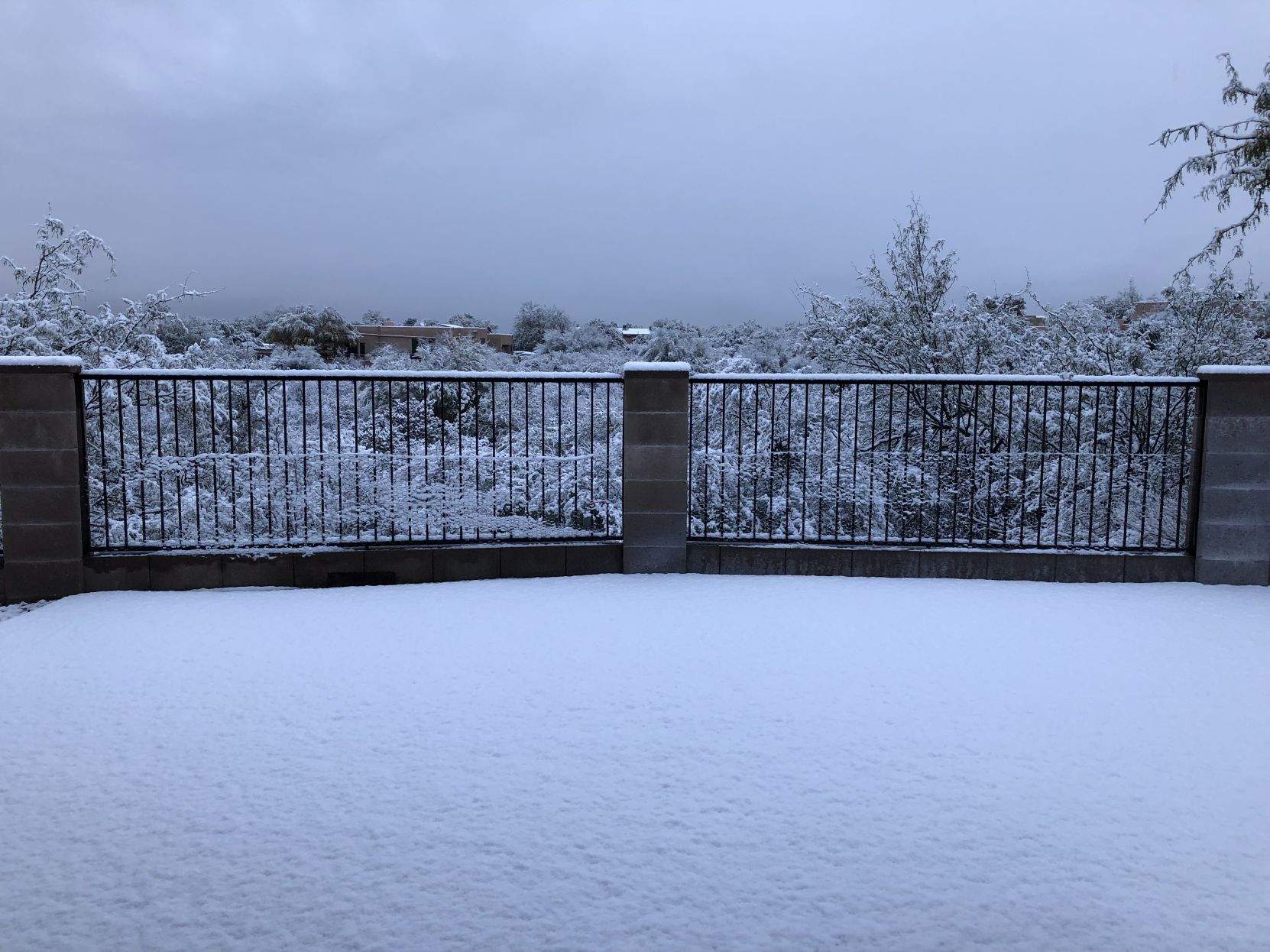 Snow in east side ÃÛèÖÖ±²¥